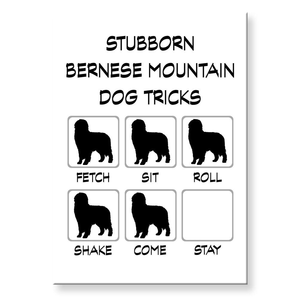 BERNESE MOUNTAIN DOG Stubborn Tricks FRIDGE MAGNET Steel Case Funny