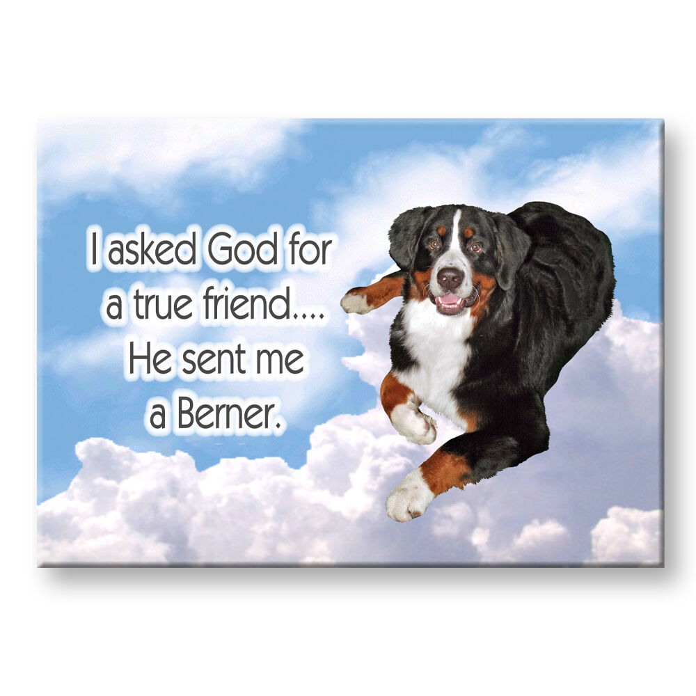 BERNESE MOUNTAIN DOG True Friend From God FRIDGE MAGNET