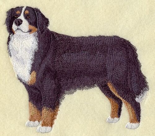 Embroidered Ladies Short-Sleeved T-Shirt - Bernese Mountain Dog C9616