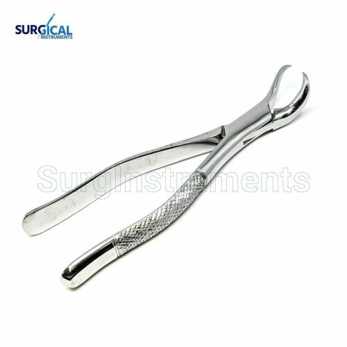 Dental Tooth Extracting Forceps 23 Cow Horn Lower Molar