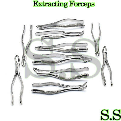 10 New Extracting Forceps Extraction Dental Instruments